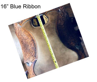 16” Blue Ribbon