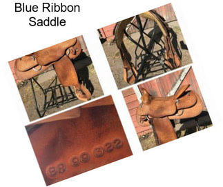 Blue Ribbon Saddle