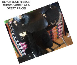 BLACK BLUE RIBBON SHOW SADDLE AT A GREAT PRICE!