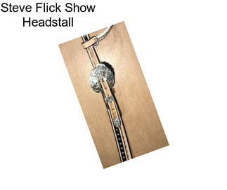 Steve Flick Show Headstall