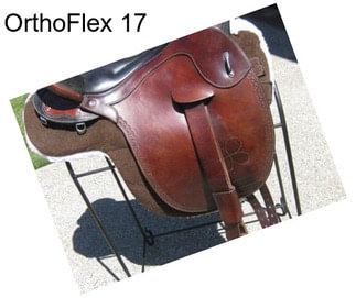 OrthoFlex 17