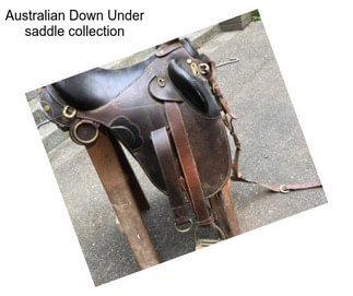Australian Down Under saddle collection