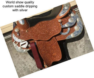 World show quality custom saddle dripping with silver