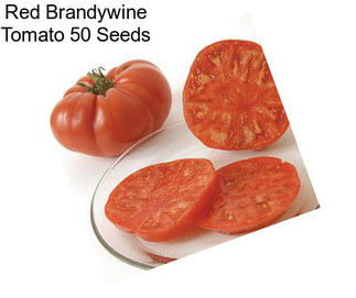 Red Brandywine Tomato 50 Seeds