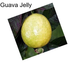 Guava Jelly