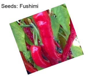 Seeds: Fushimi