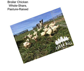 Broiler Chicken Whole-Share, Pasture-Raised