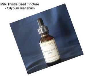 Milk Thistle Seed Tincture - Silybum marianum