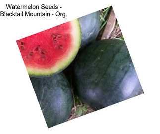 Watermelon Seeds - Blacktail Mountain - Org.