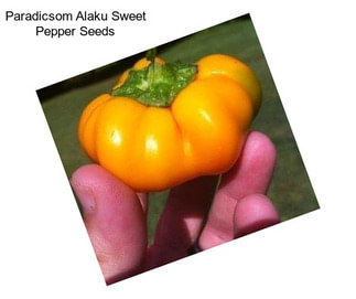 Paradicsom Alaku Sweet Pepper Seeds