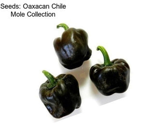 Seeds: Oaxacan Chile Mole Collection