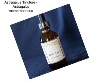 Astragalus Tincture - Astragalus membranaceus