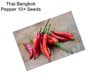 Thai Bangkok Pepper 10+ Seeds