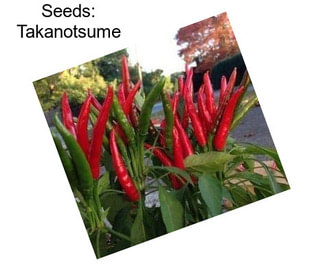 Seeds: Takanotsume