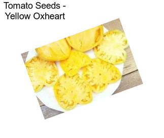 Tomato Seeds - Yellow Oxheart