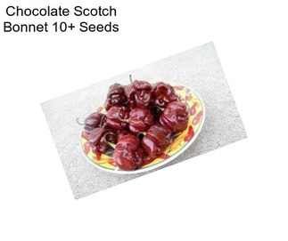 Chocolate Scotch Bonnet 10+ Seeds 