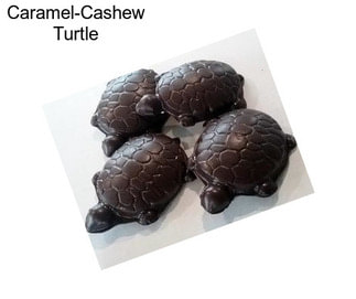 Caramel-Cashew Turtle