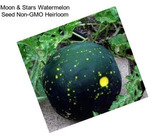 Moon & Stars Watermelon Seed Non-GMO Heirloom