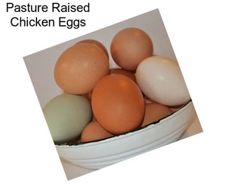 Pasture Raised Chicken Eggs