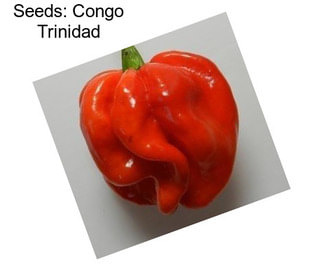 Seeds: Congo Trinidad