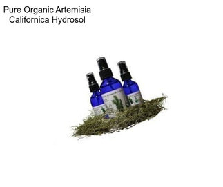 Pure Organic Artemisia Californica Hydrosol