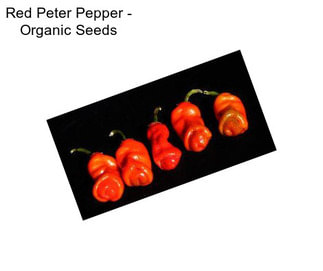 Red Peter Pepper - Organic Seeds
