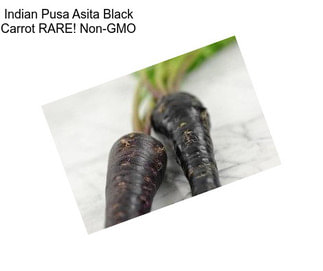 Indian Pusa Asita Black Carrot RARE! Non-GMO