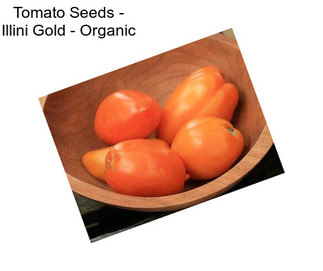 Tomato Seeds - Illini Gold - Organic