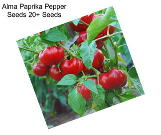 Alma Paprika Pepper Seeds 20+ Seeds