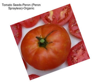 Tomato Seeds-Peron (Peron Sprayless)-Organic