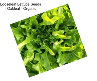 Looseleaf Lettuce Seeds - Oakleaf - Organic