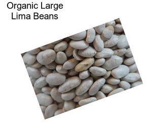 Organic Large Lima Beans