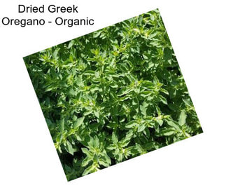 Dried Greek Oregano - Organic