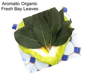 Aromatic Organic Fresh Bay Leaves