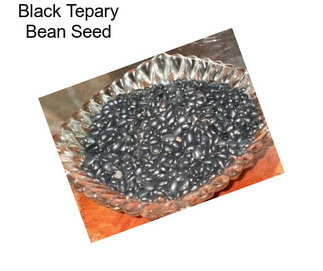 Black Tepary Bean Seed