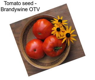 Tomato seed - Brandywine OTV