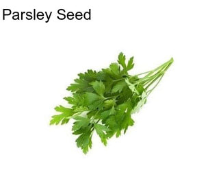 Parsley Seed