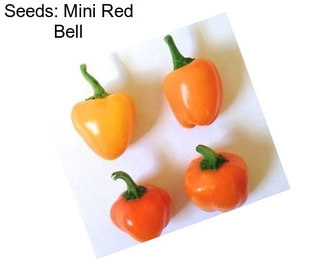 Seeds: Mini Red Bell