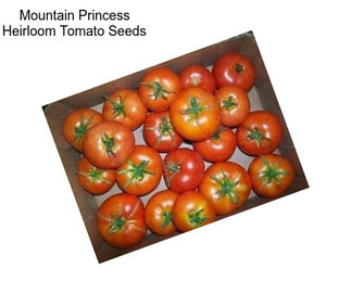 Mountain Princess Heirloom Tomato Seeds