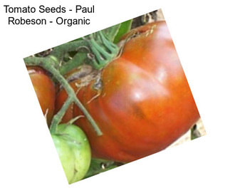 Tomato Seeds - Paul Robeson - Organic