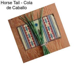 Horse Tail - Cola de Caballo