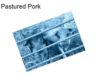 Pastured Pork