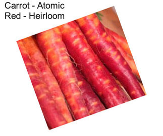 Carrot - Atomic Red - Heirloom