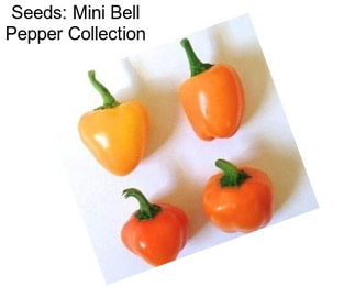 Seeds: Mini Bell Pepper Collection