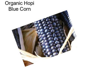 Organic Hopi Blue Corn