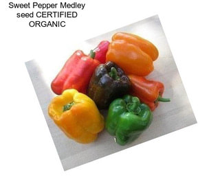 Sweet Pepper Medley seed CERTIFIED ORGANIC