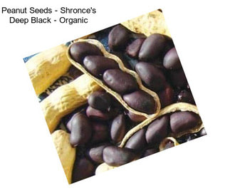 Peanut Seeds - Shronce\'s Deep Black - Organic