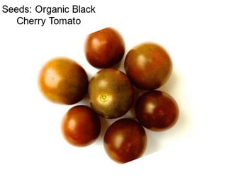 Seeds: Organic Black Cherry Tomato