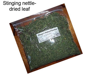 Stinging nettle- dried leaf