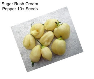Sugar Rush Cream Pepper 10+ Seeds